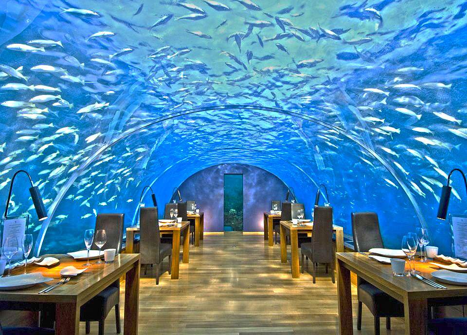 Ithaa Maldivas - 6 Incríveis Restaurantes Subaquáticos nas Maldivas