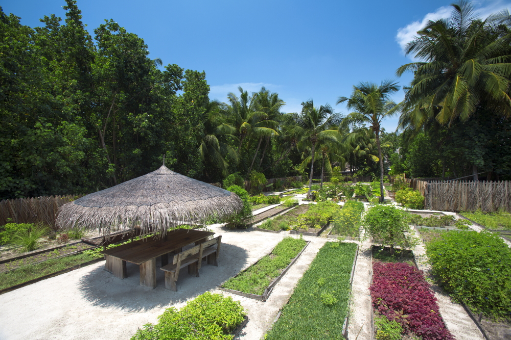 GLM Organic Garden - Gili Lankanfushi - Guia Completo Resort