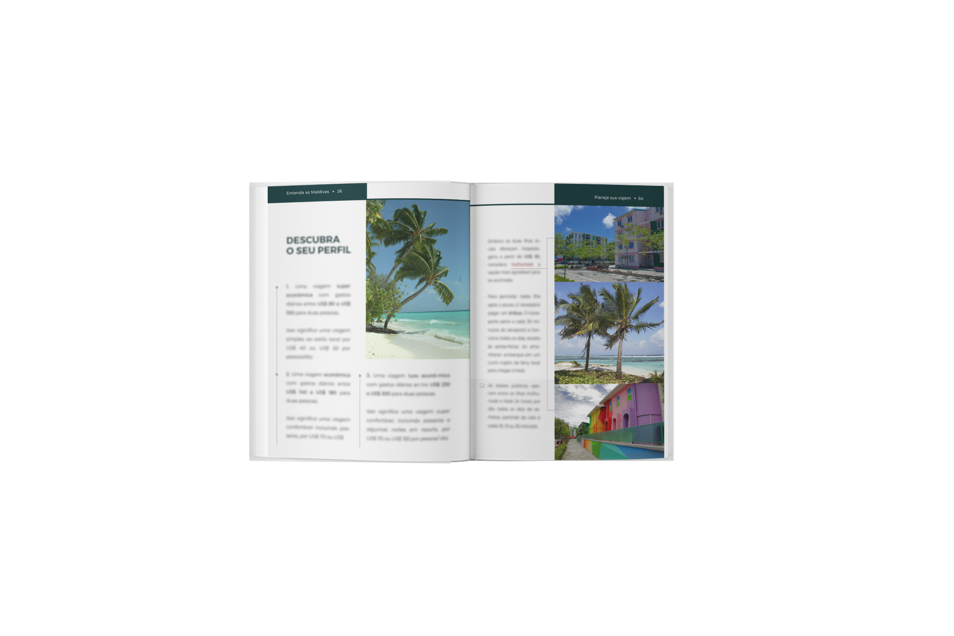 5588 - Livro Ilhas Maldivas Como Realizar o seu Sonho Gastando Pouco
